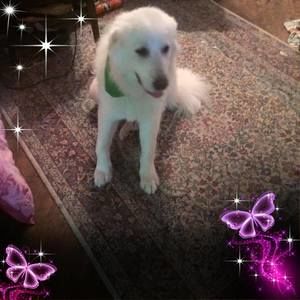 Meet your Posher, Trudy